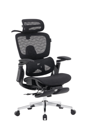 Cadeira Presidente Ergonômica Perfs E5 (OpenBox)