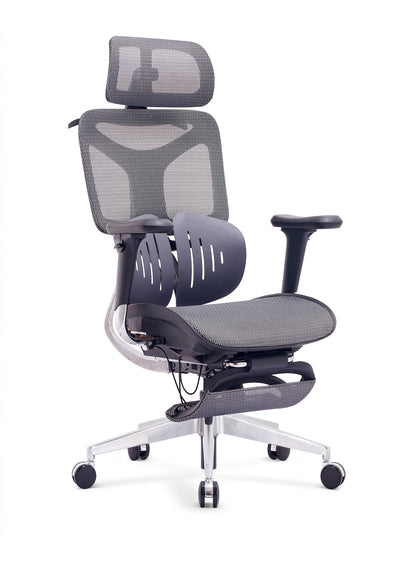 Cadeira Ergonômica Mesh Ercathe A01 Premium