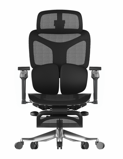 Cadeira Ergonômica Mesh Ercathe A01 Premium