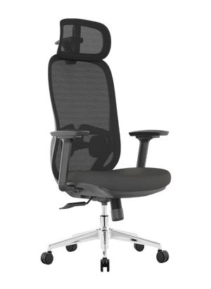 Cadeira De Escritório Confortável Amenitas A158