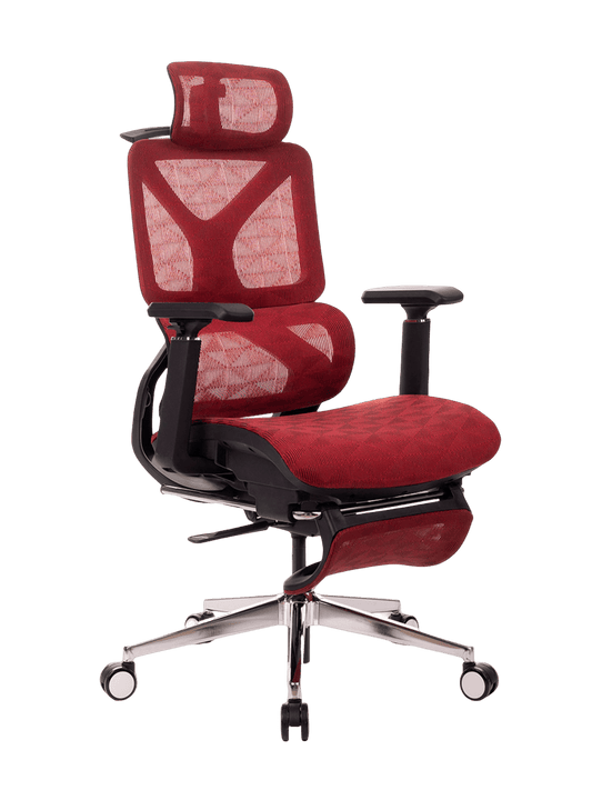 Cadeira Ergonômica Escritório Celentia A161 (OpenBox)