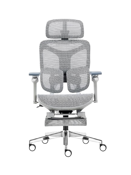 Cadeira Ergonômica Mesh Ercathe A01 Premium