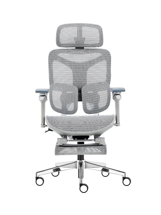 Cadeira Ergonômica Mesh Ercathe A01 Premium