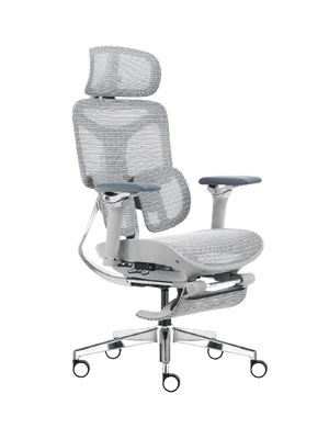 Cadeira Ergonômica Mesh Ercathe A01 Premium