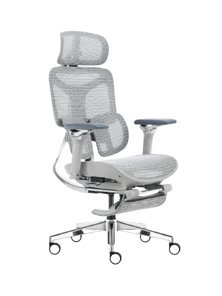 Cadeira Ergonômica Mesh Ercathe A01 Premium