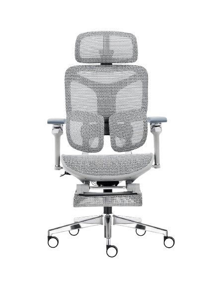 Cadeira Ergonômica Mesh Ercathe A01 Premium