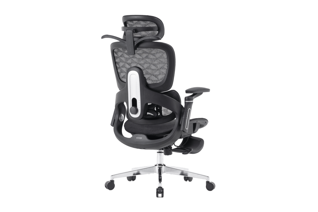 Cadeira Presidente Ergonômica Perfs E5 (OpenBox) - SENSETUP