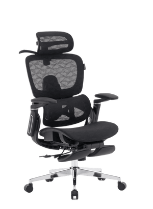 Cadeira Presidente Ergonômica Perfs E5 (OpenBox)