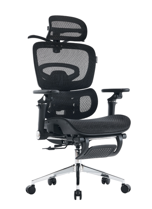 Cadeira Ergonômica Home Office Verus H01