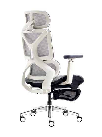 Cadeira Diretor Ergonômica Celentia A161