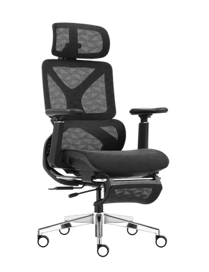 Cadeira Ergonômica Escritório Celentia A161 (OpenBox)