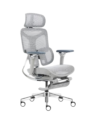 Cadeira Ergonômica Mesh Ercathe A01 Premium