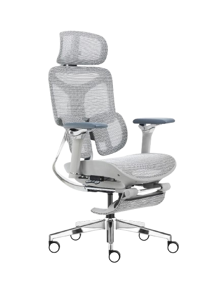 Cadeira Ergonômica Mesh Ercathe A01 Premium