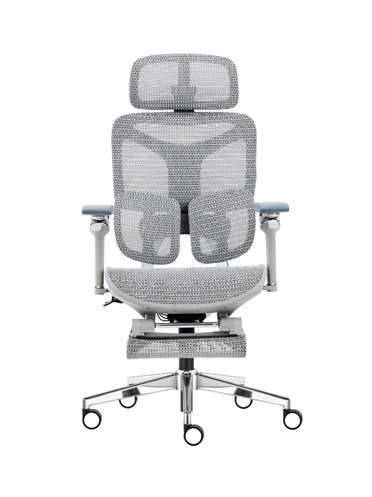 Cadeira Ergonômica Mesh Ercathe A01 Premium
