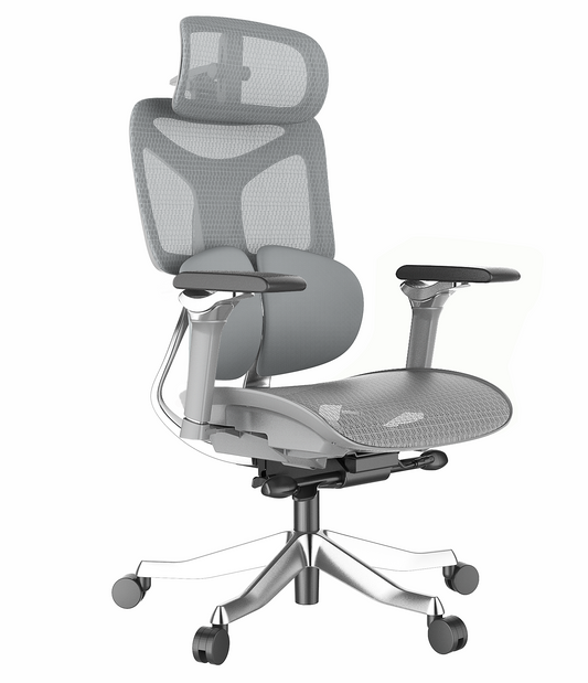 Cadeira Ergonômica Mesh Ercathe A01 Premium