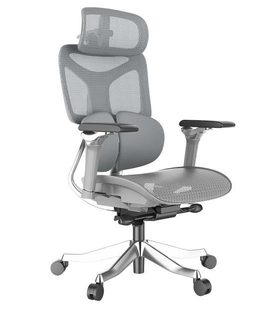 Cadeira Ergonômica Mesh Ercathe A01 Premium