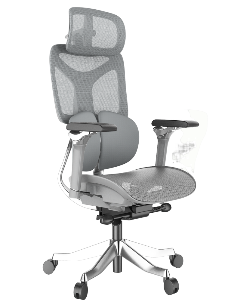 Cadeira Ergonômica Mesh Ercathe A01 Premium