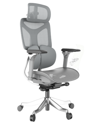 Cadeira Ergonômica Mesh Ercathe A01 Premium