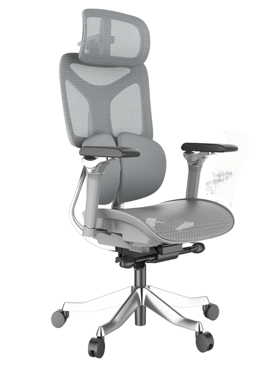 Cadeira Ergonômica Mesh Ercathe A01 Premium